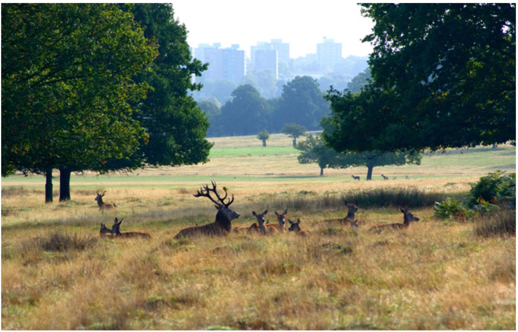 Dive deep into the heart of Richmond, London and uncover mesmerising things to do in Richmond, from historic sites to lively pubs. Start your day with a delicious breakfast and end with a riverside dinner view.  #RichmondLondon #RichmondGuide #TravelLondon #HistoricRichmond #RichmondAttractions #LondonTravelGuide #RichmondAdventures