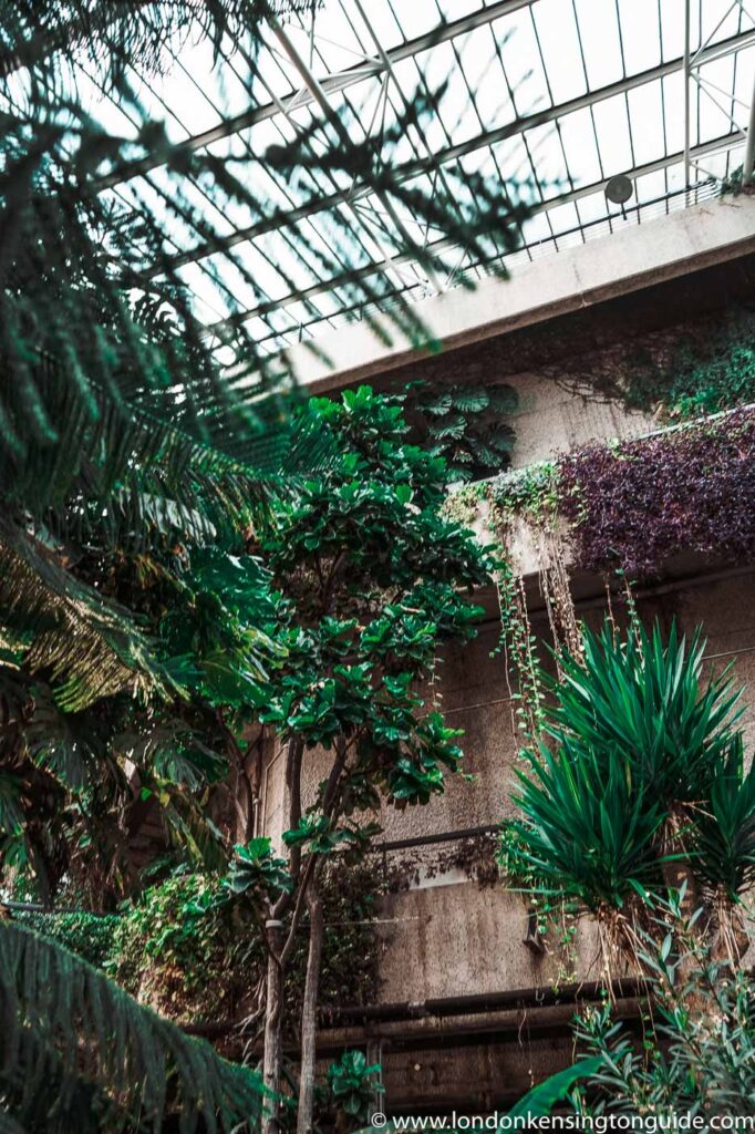A local's guide to visiting London's little oasis in the heart of the city's hustle and bustle. Barbican Conservatory is not to be missed on any London itinerary.