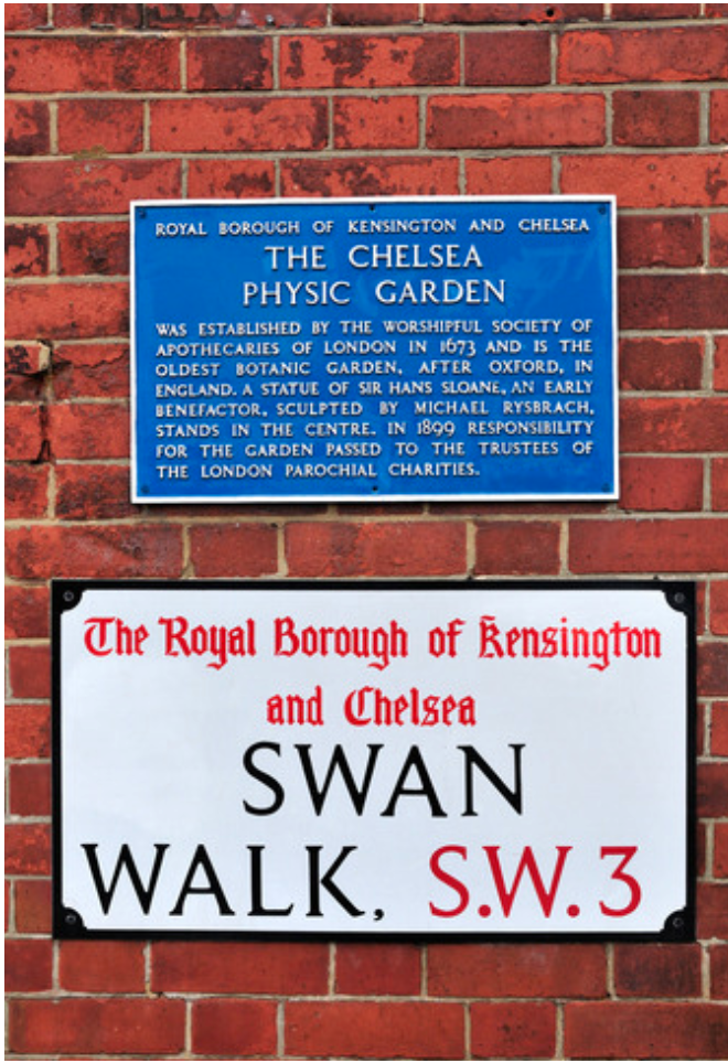 Guide to visiting Chelsea Physic Garden. A hidden gem right in the heart of London and originally founded in 1673 by the Worshipful Society of Apothecaries.