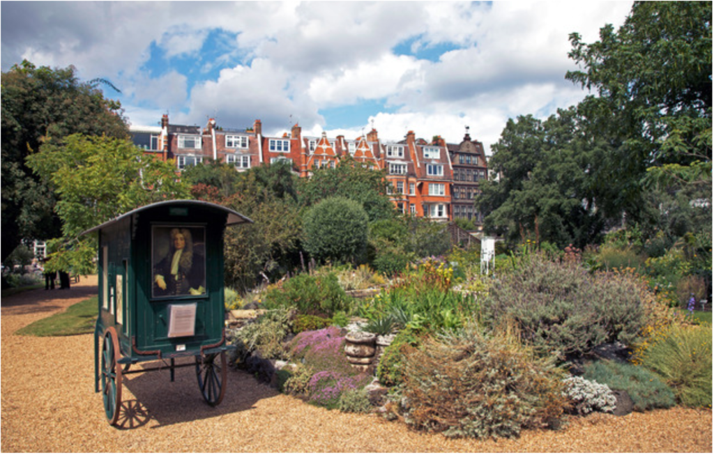 Guide to visiting Chelsea Physic Garden. A hidden gem right in the heart of London and originally founded in 1673 by the Worshipful Society of Apothecaries.