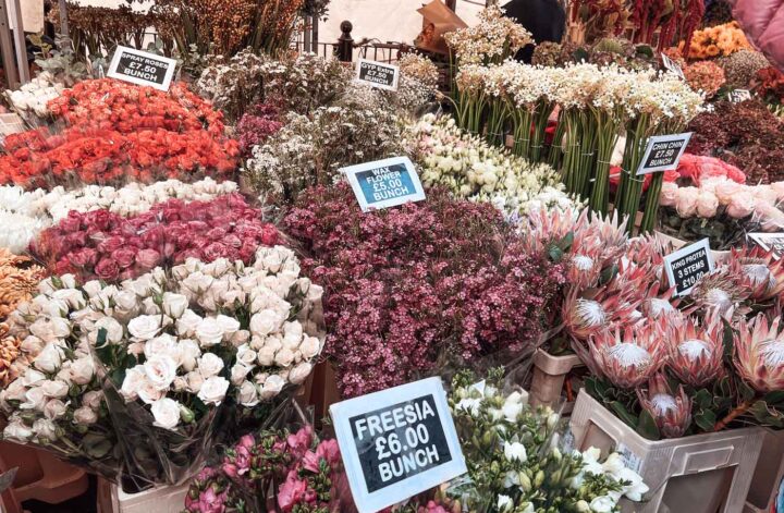 Among the coolest things to do in London. The perfect way to finish the weekend by make a stop at Columbia Road Flower Market London. One of London's oldest and most amazing flower markets, Columbia Road overflows with buckets full of beautiful flowers every Sunday. Its open on Sundays only #London #shoreditch #eastlondon #londontown #visitlondon #columbiaroadflowermarket #columbiaroad #hackney