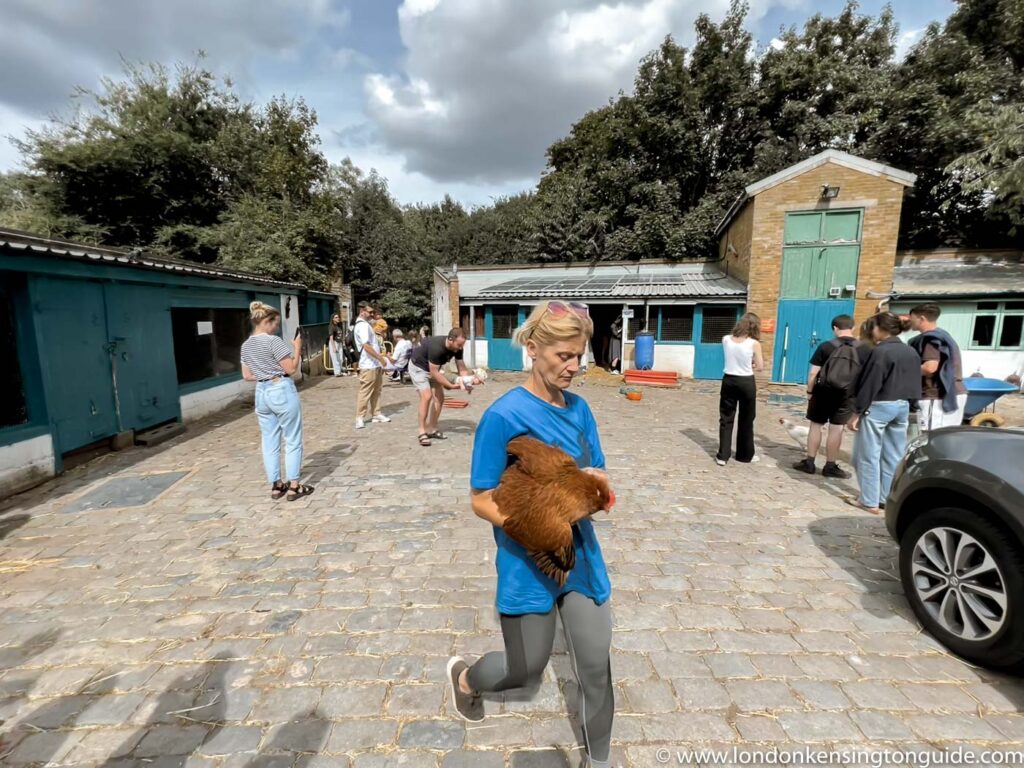 Guide on how to visit Hackney City Farm in London. Everyting you need to know. From animals on the farm to how to get there and things to do nearyby. | Hackney city farm | hackney city farm pottery | hackney city farm cafe | hackney city farm parking | hackney city farm opening times | city farm hackney | city farm north London | city farm east London | city farm London | city farms in London | petting farms in London | animal farms in London | best farms in London | north London farm
