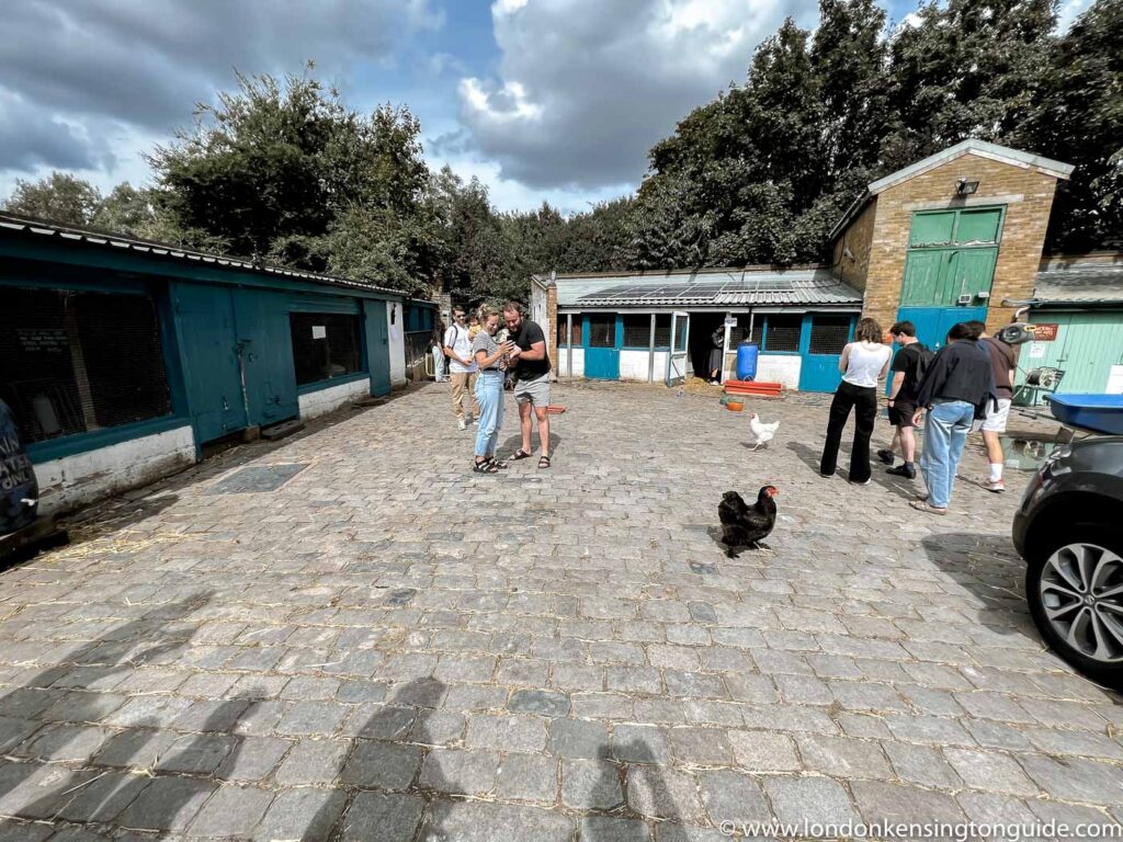 Guide on how to visit Hackney City Farm in London. Everyting you need to know. From animals on the farm to how to get there and things to do nearyby. | Hackney city farm | hackney city farm pottery | hackney city farm cafe | hackney city farm parking | hackney city farm opening times | city farm hackney | city farm north London | city farm east London | city farm London | city farms in London | petting farms in London | animal farms in London | best farms in London | north London farm