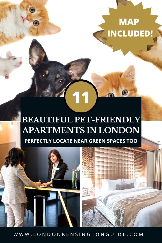 Guide to the best pet friendly apartments in London. Amazing flats and apartments that allow dog, cats and other furry animals a to stay with and with charge. All in lovely London neighbourhoods. | pet friendly flats to rent London | Pet friendly flats London | pet friendly rent London | dog friendly apartments london | cat friendly flats london | pet friendly lets london | pet friendly flats in london | pet friendly flat to rent london | pet friendly accommodation in London