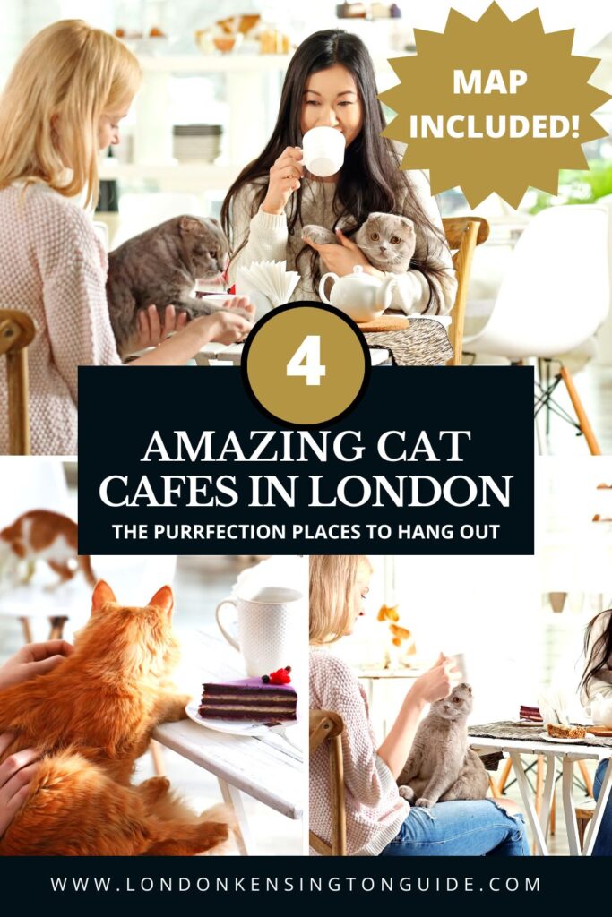 If you’re looking for the best cat cafes in London, don’t miss these 4 perfect places! Let’s go!(Map included) cat cafe in london | cat cafe in shoreditch | cat cafe london uk | cat cafe shoreditch | kitty cafe london | cat cafes london | cat cafe london uk | cafes central london | cafes in london england | java whiskers cat cafe london | the cat cafe london | kitten cafe london | cat cafe london pimlico | cat cafe east london | cat afternoon tea london | London | london cat coffee