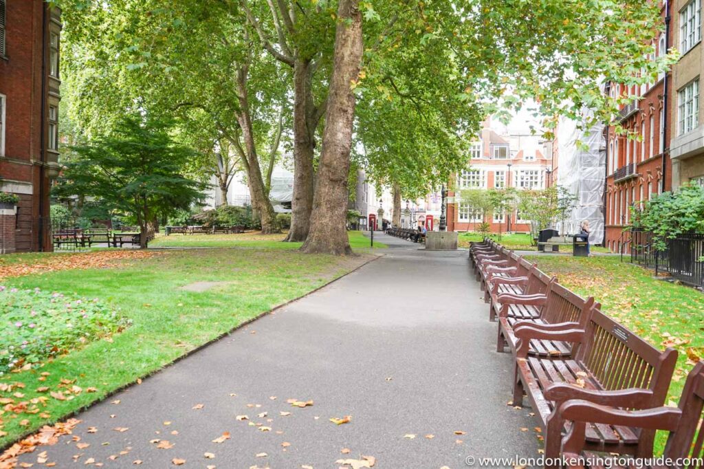 Mount Street Gardens is a peaceful beauty spot in London Mayfair and a sheltered place with a conducive microclimate where near-tender plants flourish.